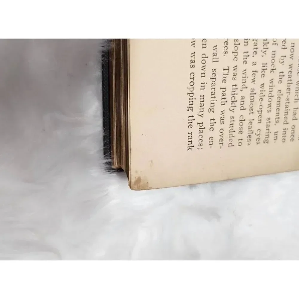 Vintage 1898 Miss Erin hardcover book #A88